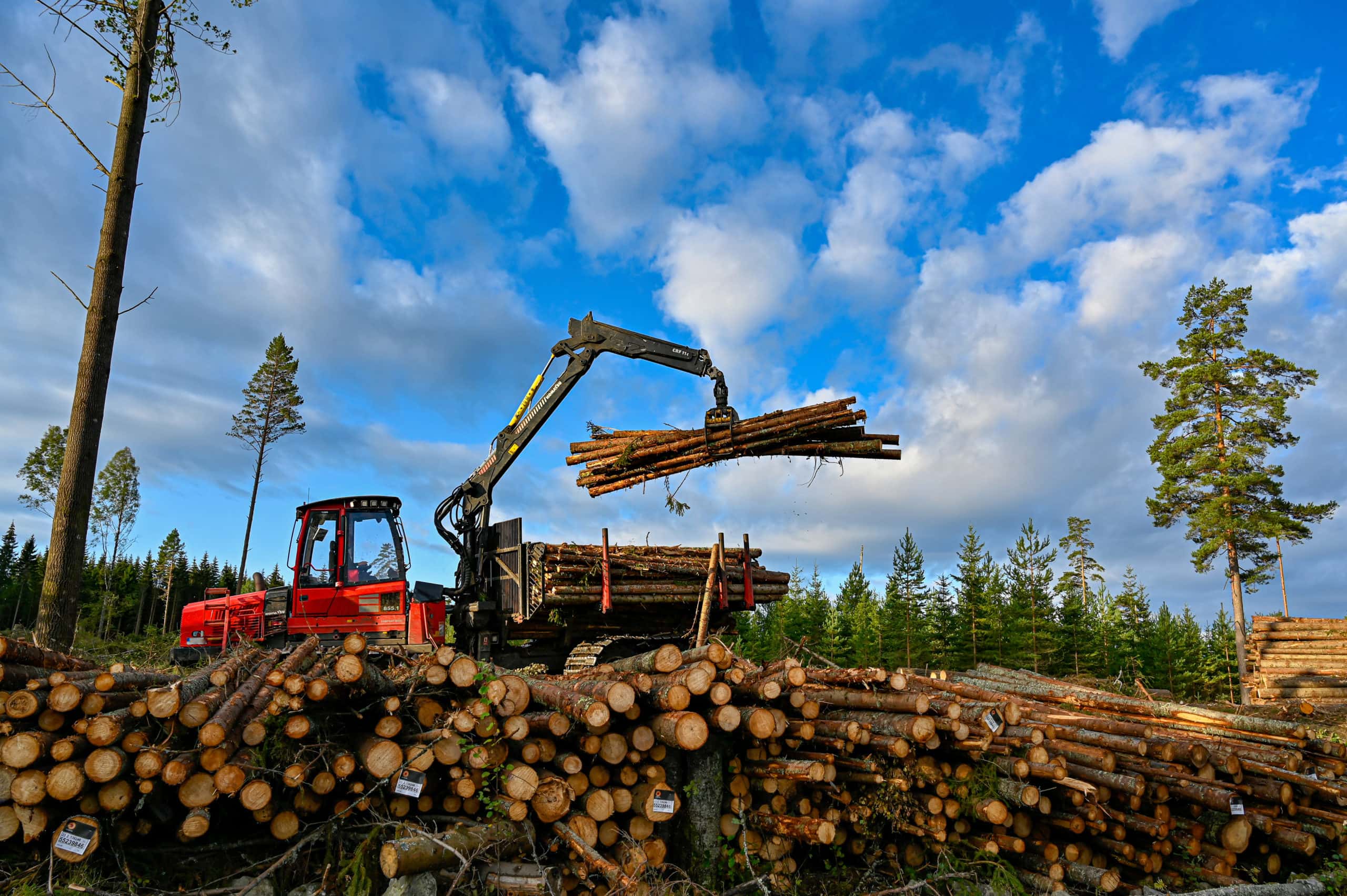 Forest machine lifting timber to a pile of timber