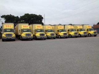 Eight aligned bright-yellow trucks