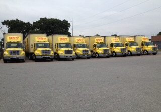 Eight aligned bright-yellow trucks